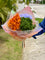 Preserved Hydrangeas